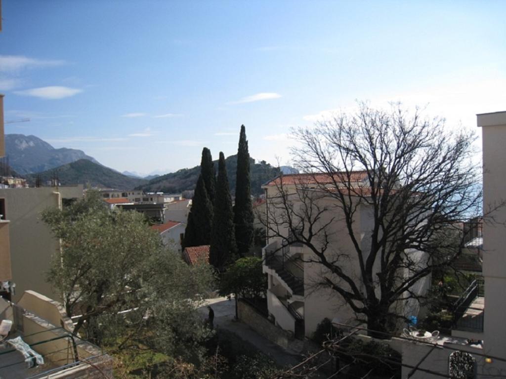 Apartment Stana Petrovac エクステリア 写真