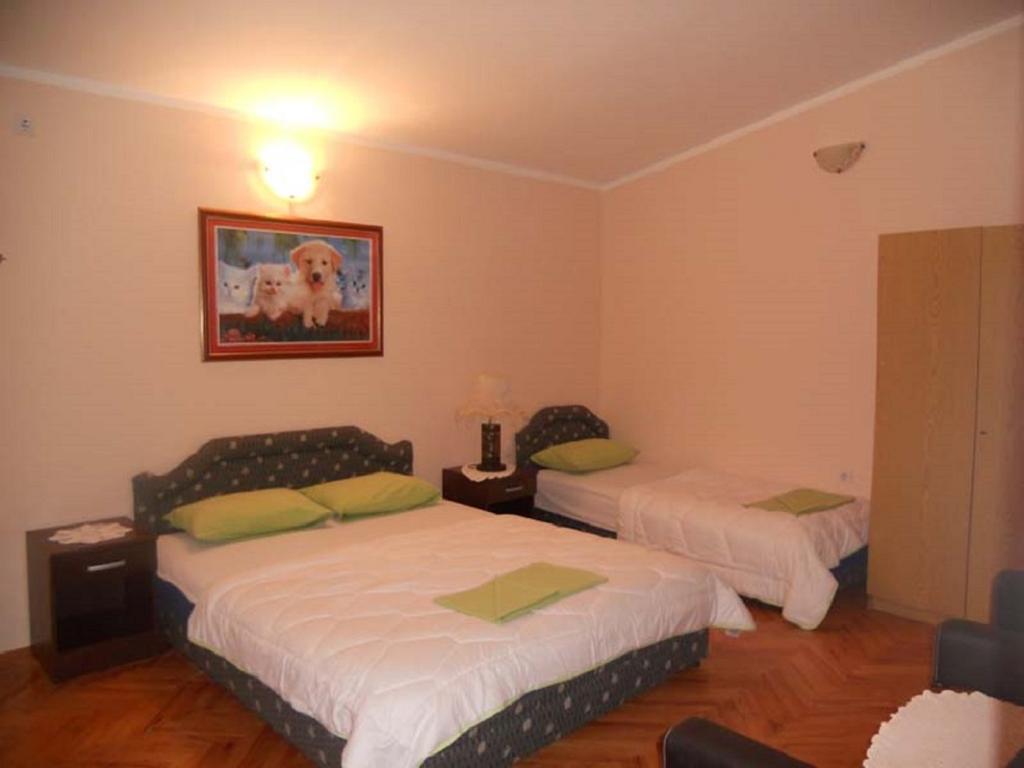Apartment Stana Petrovac エクステリア 写真