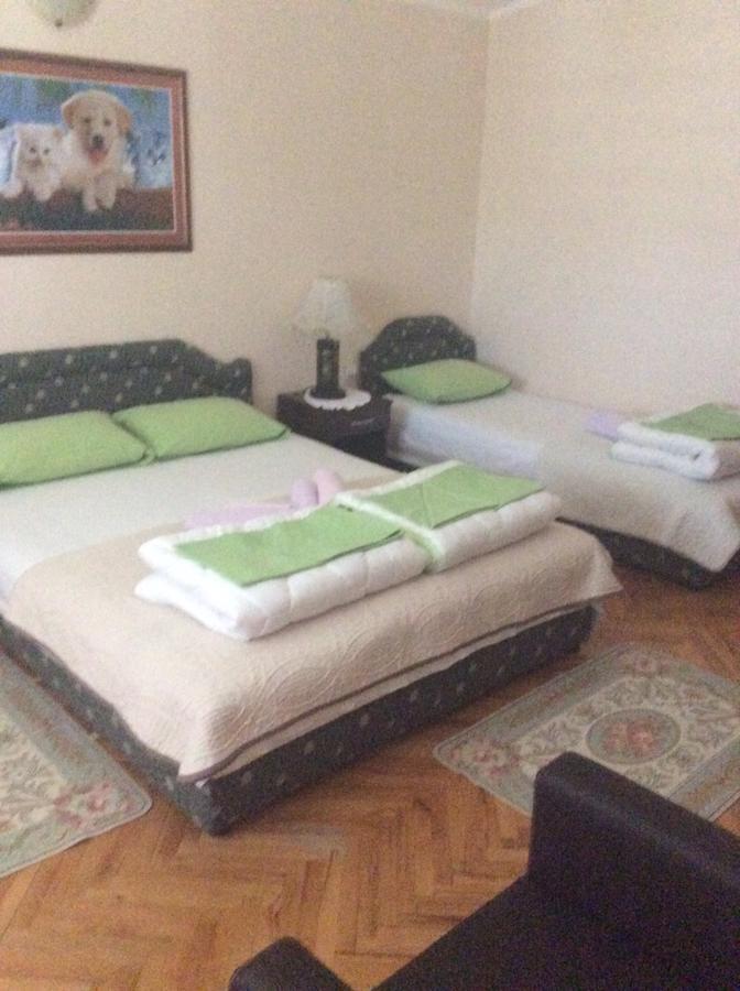 Apartment Stana Petrovac エクステリア 写真